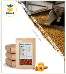 تصویر مغز هسته زردآلو بوداده فله 