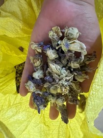 تصویر ختمی بنفش 