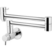 تصویر شیر روگازی - ورتکس طلایی البرز روز 