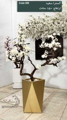 تصویر درختچه مصنوعی آلسترا سفید 150سانت با تنه چوب خاص 