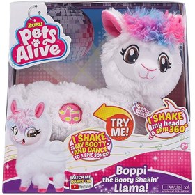 تصویر لاما زورو 9515 