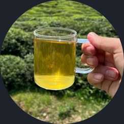 تصویر چای سبز وزین اعلا طعم اصالت، حس تازگی