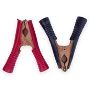 تصویر یک جفت گیره سوسماری متوسط 