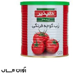 تصویر رب گوجه فرنگی دلپذیر 1 کیلوگرم در بسته بندی 12 عددی 