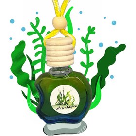 تصویر Car Perfume- Seaweed 