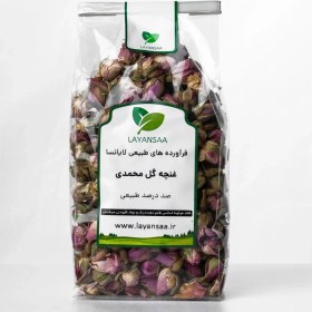 تصویر غنچه گل محمدی 