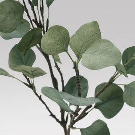 تصویر برگ اکالیپتوس مصنوعی ایکیا مدل SMYCKA IKEA SMYCKA Artificial leaf, eucalyptus/green