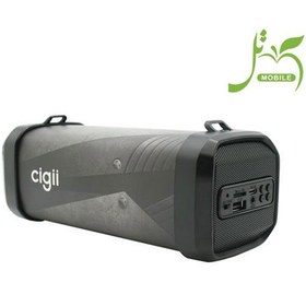 تصویر اسپیکر بلوتوثی قابل حمل سی جی مدل F41B ا Cigii F41B Portable Bluetooth Speaker ا Cigii F41B Cigii F41B