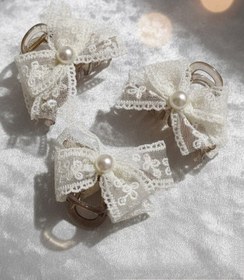 تصویر کلیپس تور مجلسی 