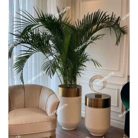 تصویر گیاه اریکا لوکس مدل E04 