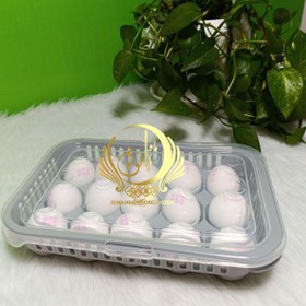 تصویر جاتخم مرغی 