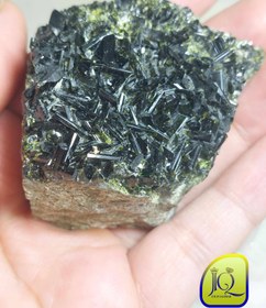 تصویر اپیدوت کلکسیونی 