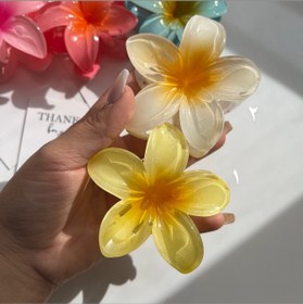 تصویر کلیپس پلومریا براق هشت سانتی Plumeria clip shiny eight cm