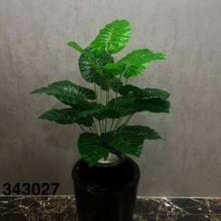 تصویر درختچه بابا آدم مصنوعی 