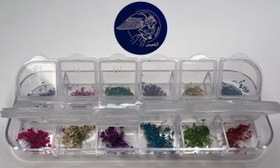 تصویر گل خشک 