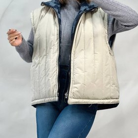 تصویر پافر دو رو 