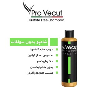 تصویر شامپو مو سولفات فری پرو ویکات حجم 300 میل Provecut Sulfate Free Hair Shampoo 300ml