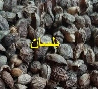 تصویر فروشگاه سپنج