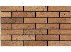 تصویر آجر نسوز 7×31 شاموتی 