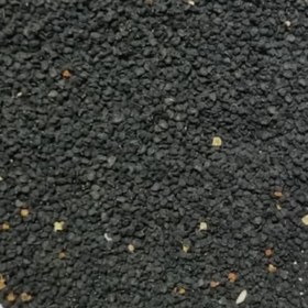 تصویر بذر موسیر عمده 