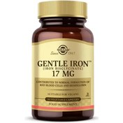 تصویر کپسول آهن ۱۷ میلی گرم برند سولگار 90 عدد Solgar Gentle Iron 17 Mg 90 Kapsül