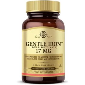 تصویر کپسول آهن ۱۷ میلی گرم برند سولگار 90 عدد Solgar Gentle Iron 17 Mg 90 Kapsül