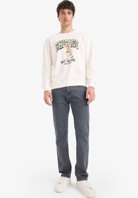 تصویر سویشرت مردانه بژ دفکتو 