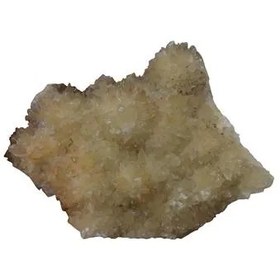 تصویر کلسیت دندان سگی زیبا 