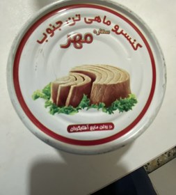 تصویر تن ماهی tuna fish