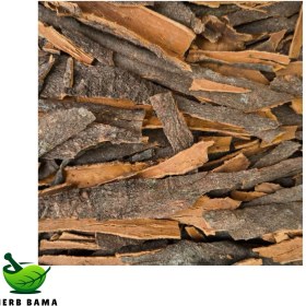 تصویر دارچین قلم 