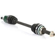 تصویر پلوس کامل تیبا بلند (راست) عظام 