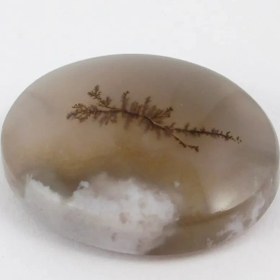 تصویر سنگ شجر کد 2380 