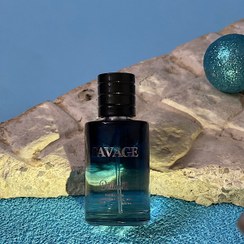 تصویر عطر جیبی مردانه بالرینا مدل ساواج Savage حجم 25 میلی لیتر 