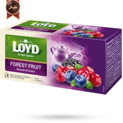 تصویر چای کیسه ای لوید LOYD مدل میوه جنگلی forest fruit پک 20 تایی 