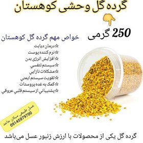 تصویر گرده گل اصل وحشی کوهستان 250 گرمی(مستقیم از زنبوردار) 