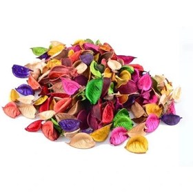 تصویر گل خشک تزیینی رنگی -Colored decorative dried flowers 