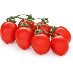 تصویر گوجه زیتونی olive tomato