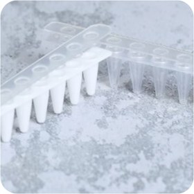 تصویر استریپ میکروتیوب شیری و شفاف Micro tube ABI Strip 0.1 ml 