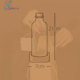 تصویر موساریوم دریا 