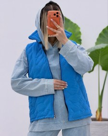 تصویر پافر امبردی 