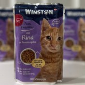 تصویر پوچ گربه وینستون با گوشت گاو در ژله گوجه فرنگی Winston