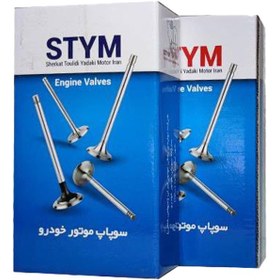 تصویر ست کامل سوپاپ دود و هوا تیبا،ساینا و کوئیک -ساوه STYN Tiba Engine valve