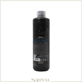 تصویر شامپو موهای آسیب دیده زی موی  حجم 250 میلی لیتر Zi Moi Damaged Hair Shampoo 250 ml