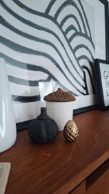 تصویر بانکه بلوط - درپوش سفید 