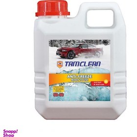 تصویر ضد یخ آماده به مصرف تام کلین (Tamclean) مدل TC-AE1000N02 حجم 1000 میلی لیتر 