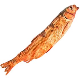 تصویر ماهی آمور دودی (سفید پرورشی) شمال 