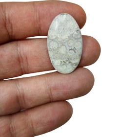 تصویر نگین فسیل مرجان بیضی 