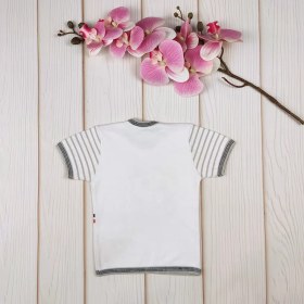 تصویر تیشرت نوزادی طرح پاندا طوسی – سه تا شش ماه 