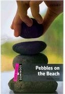 تصویر Pebbles on the Beach اثر Alex Raynham 