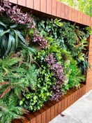 تصویر چمن مصنوعی گرین وال برگ استوایی 